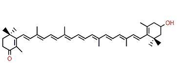 3'-Hydroxy-beta,beta-caroten-4-one