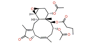 3,14-Diacetoxy-2-butanoyloxy-11,12-epoxy-5,8(17)-briaradien-18,7-olide