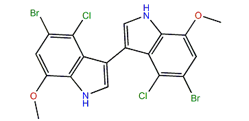 4,4'-Dichloro-5,5'-dibromo-7,7'-dimethoxy-2,2'-bi-1H-indole