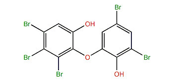 3,4,5-Tribromo-2-(3,5-dibromo-2-hydroxyphenoxy)-phenol