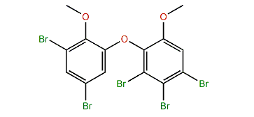 3,4,5-Tribromo-2-(3,5-dibromo-2-methoxyphenoxy)-anisole