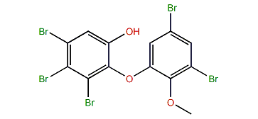 3,4,5-Tribromo-2-(3,5-dibromo-2-methoxyphenoxy)-phenol