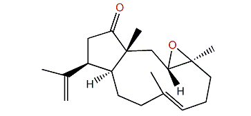 3,4-Epoxy-14-oxo-7,18-dolabelladiene