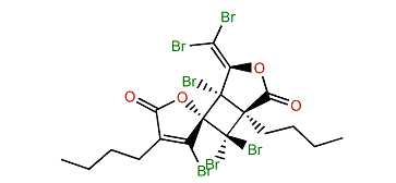 3,5',7',7'-Tetrabromo-1',4-dibutyl-4'-(dibromo-methylene)spiro[furan-2(5H),6'-[3]oxabicyclo[3.2.0]heptane]2',5-dione
