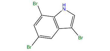 3,5,7-Tribromo-1H-indole