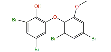 3,5-Dibromo-2-(3',5'-dibromo-2'-methoxyphenoxy)-phenol