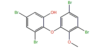 3,5-Dibromo-2-(3,5-dibromo-2-methoxyphenoxy)-phenol
