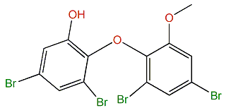 3,5-Dibromo-2-(4,6-dibromo-2-hydroxyphenoxy)-anisole