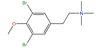 3,5-Dibromo-N,N,N,O-tetramethyltyramine