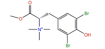 3,5-Dibromo- N,N,N,O-tetramethyltyrosinium