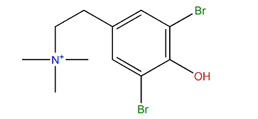 3,5-Dibromo-N,N,N-trimethyltyraminium
