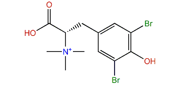 3,5-Dibromo-N,N,N-trimethyltyrosinium