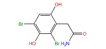 3,5-Dibromohydroquinone-2-acetamide