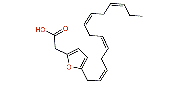 (Z,Z,Z,Z,Z,E)-3,6-Epoxy-3,5,8,11,14,17-eicosahexaenoic acid