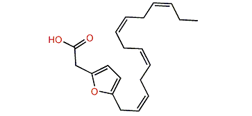 (Z,Z,Z,Z,Z,Z)-3,6-Epoxy-3,5,8,11,14,17-eicosahexaenoic acid