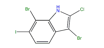3,7-Dibromo-2-chloro-6-iodo-1H-indole