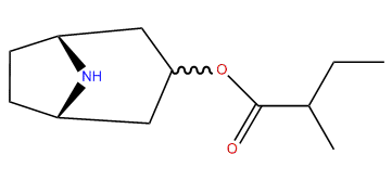 3-(2-Methylbutyroxy)-nortropane