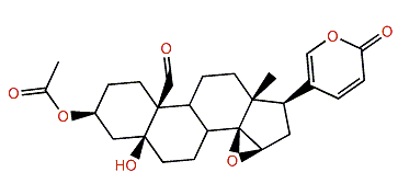 3-O-Acetylbufotalinin