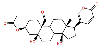 3-O-Acetylhellebrigenin