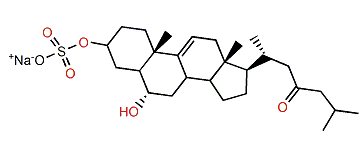 3-O-Sulfodihydromarthasterone