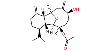 3-Acetoxycladiell-7(16),11(17)-dien-6-ol