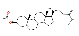 3-Acetyl-24-methylenecholesterol