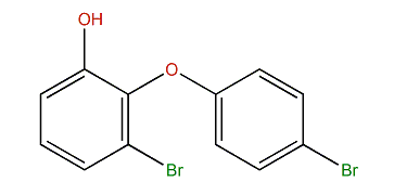 3-Bromo-2-(4-bromophenoxy)-phenol