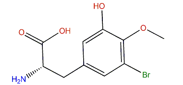 3-Bromo-5-hydroxy-O-methyltyrosine