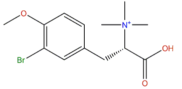 3-Bromo-N,N,N,O-tetramethyltyrosinium