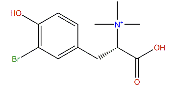 3-Bromo-N,N,N-trimethyltyrosinium