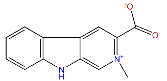 2-Methyl-9H-pyrido[3,4b]indole-3-carboxylic acid