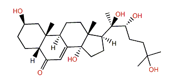 3-Deoxy-20-hydroxyecdysone