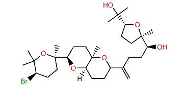 3-Epidehydrothyrsiferol
