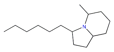 3-Hexyl-5-methylindolizidine