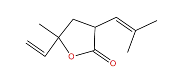 3-Isobutenyl-5-methyl-5-vinylbutyrolactone