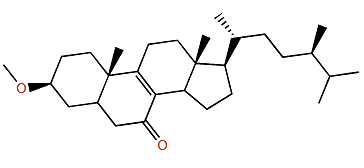 3-Methoxyergost-8-en-7-one