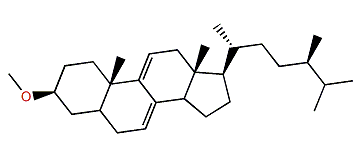 3-Methoxyergosta-7,9(11)-diene
