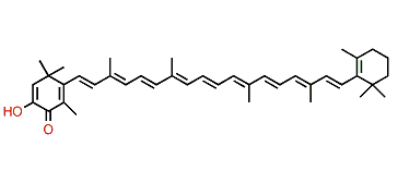 3-Hydroxy-2,3-didehydro-beta,beta-caroten-4-one