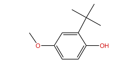3-tert-Butyl-4-hydroxyanisol