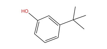 3-(1,1-Dimethylethyl)-phenol
