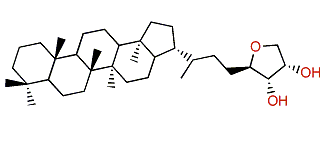 32,35-Anhydrobacteriohopanetetrol