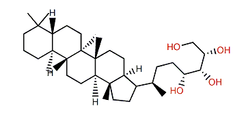 (32R,33R,34S)-Bacteriohopanetetrol