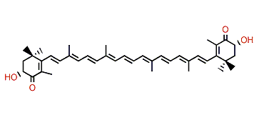 (3R,3'R)-Dihydroxy-beta,beta-carotene-4,4'-dione