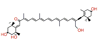 (3R,3'R,5S,19')-Tetrahydroxy-7',8'-didehydro-gamma,epsilon-carotene-8-one