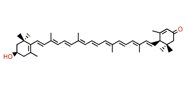 (3R,6'R)-3-Hydroxy-beta,epsilon-caroten-3'-one