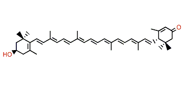 (3R,6'S)-3-Hydroxy-beta,epsilon-caroten-3'-one