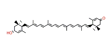 (3R,6R,6'R)-3-Hydroxy-epsilon,epsilon-caroten-3'-one