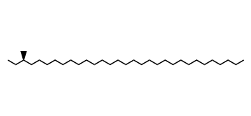 (R)-3-Methylhentriacontane