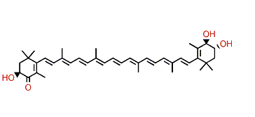 (3S,3'S,4'R)-Trihydroxy-beta,beta-caroten-4-one