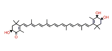 (3S,3'S,4'S)-Trihydroxy-beta,beta-caroten-4-one